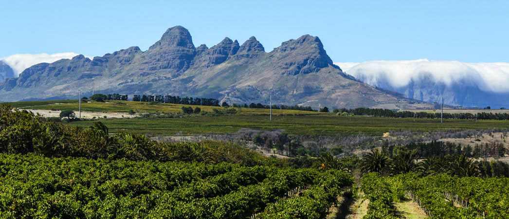 Stellenbosch Winelands